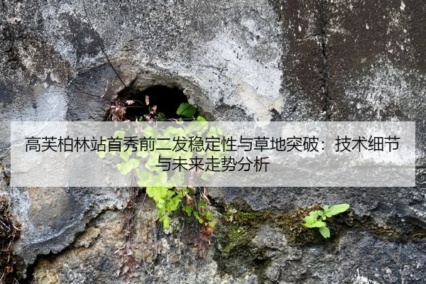 高芙柏林站首秀前二发稳定性与草地突破：技术细节与未来走势分析