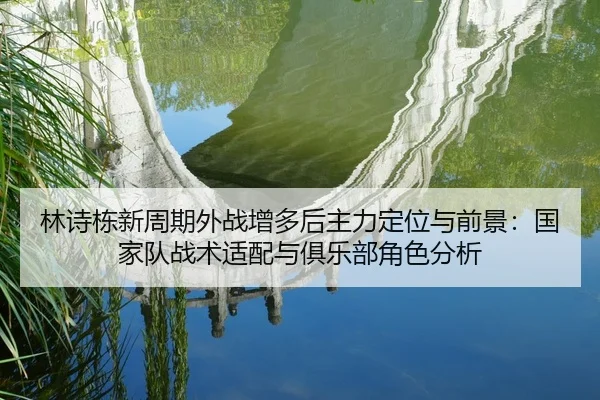 lin-shi-dong-xin-zhou-qi-wai-zhan-zeng-duo-hou-zhu-li-ding-wei-yu-qian-jing-guo-jia-dui-zhan-shu-shi-pei-yu-ju-le-bu-2-160.jpg