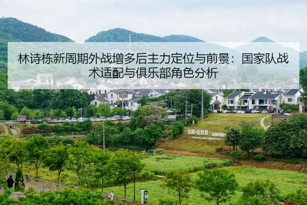 林诗栋新周期外战增多后主力定位与前景：国家队战术适配与俱乐部角色分析