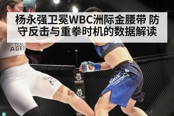 杨永强卫冕WBC洲际金腰带 防守反击与重拳时机的数据解读